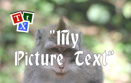 Picture Text